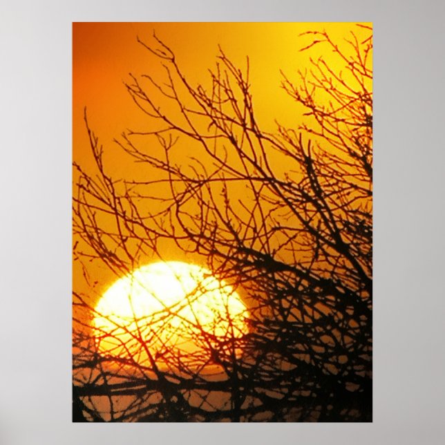 Sunset Delights Poster (Frente)