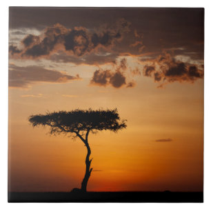 Sunset em Masai Mara