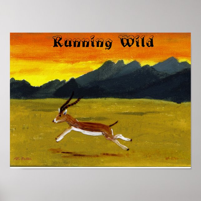 Sunset Gazelle Running Wild Animal Poster (Frente)