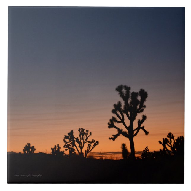 Sunset Joshua Trees (Frente)
