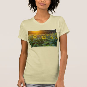 Sunset Na Camisa Do Campo De Girassol