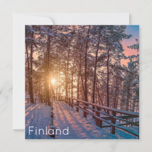 Sunset na floresta de pinheiros com neve com raio