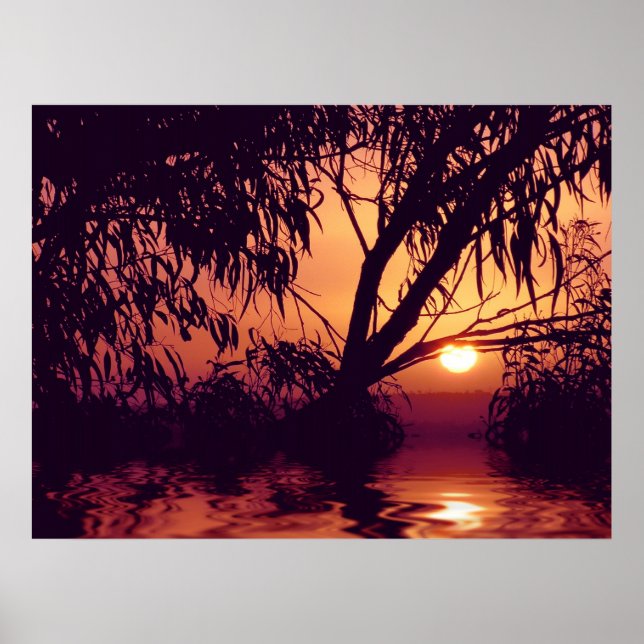 Sunset Silhouette Habitat Poster (Frente)