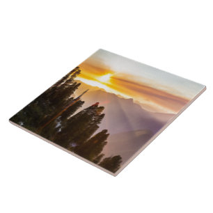 Sunset sobre floresta