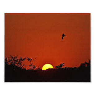 Sunset Sobre O Impressão De Foto Marsh