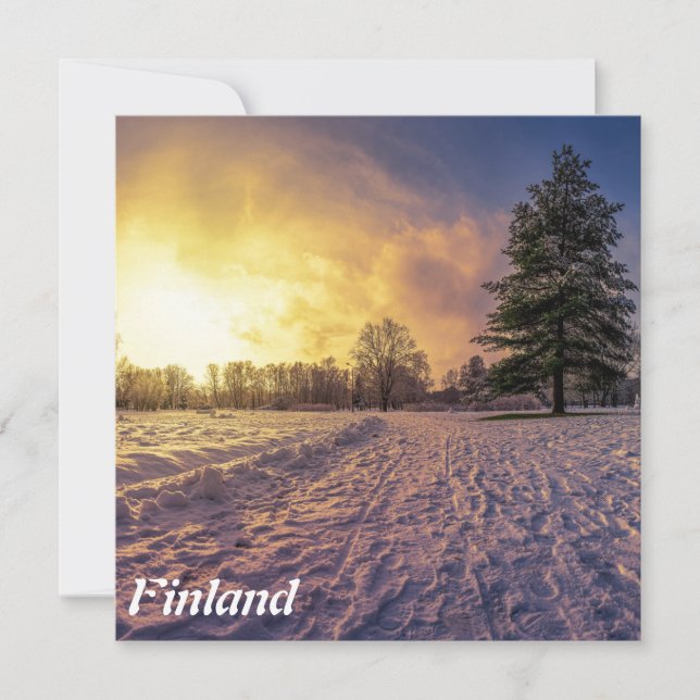 Sunset sobre o parque de inverno de neve (Frente)