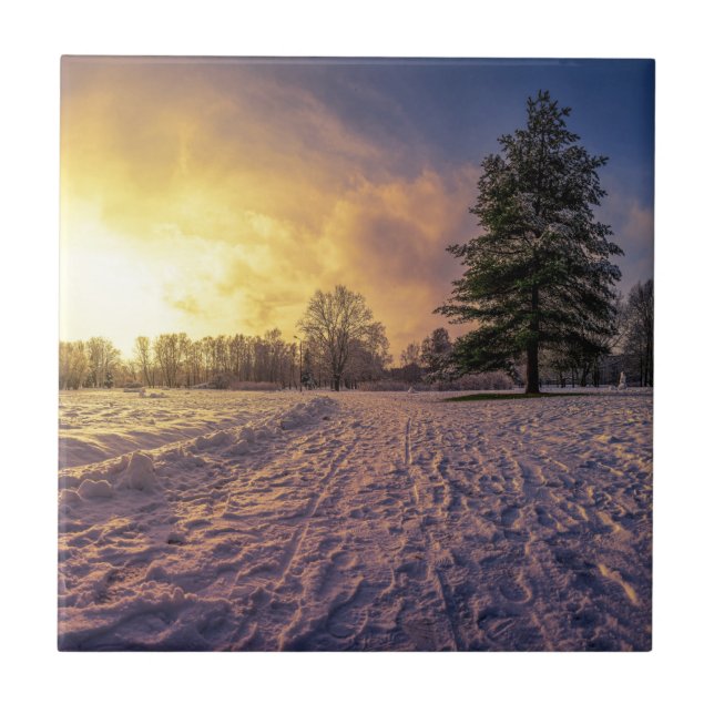 Sunset sobre o parque de inverno de neve (Frente)