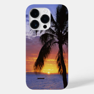 Sunset tropical com Palm Tree,