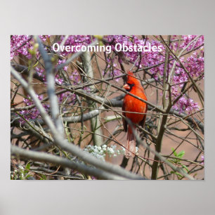 Superando obstáculos - poster
