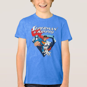 Superman & Krypto Soar