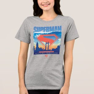 Superman Metropolis Skyline