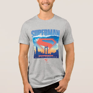 Superman Metropolis Skyline