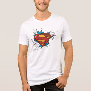 Superman S-Shield   Within Clouds Logo