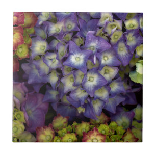 Suporte de Azulejo Cerâmico, Jardim de Flores Hort