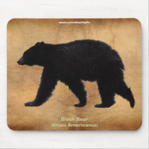 Suporte Mousepad dos animais selvagens do urso