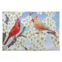 Casal cardinal do norte Placemat