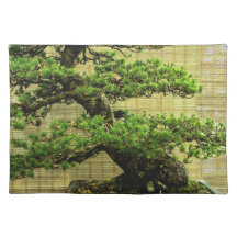 Imagem Floral da Árvore Bonsai, pinheiro branco ja