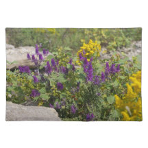 Wildflower Placemats de Kansas