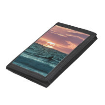 Surfer Sunset de Praia | Esporte