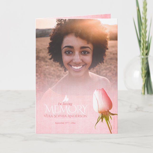 Surgida rosa rosa da ordem de serviço do programa  (Frente)