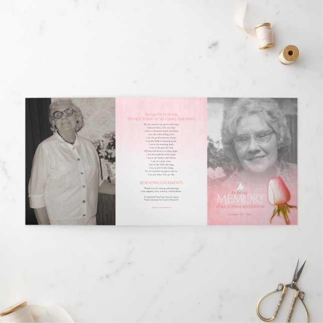 Surgida rosa rosa da ordem de serviço do programa  (Fora)