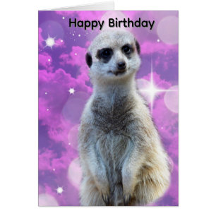 Suricata Com Brilho, Cartão de Aniversário