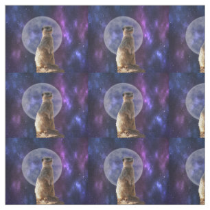 Suricata numa noite de lua cheia, Tecido
