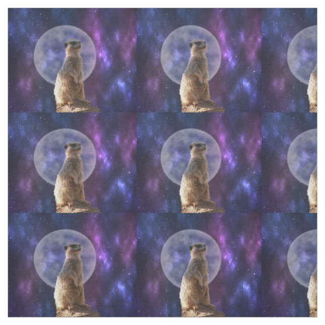 Suricata numa noite de lua cheia, Tecido (Modelo)