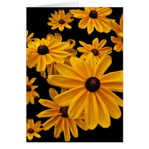 Susan de olhos pretos floral floresce o cartão