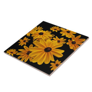 Susan de olhos pretos floresce o azulejo floral