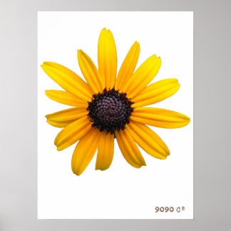 Susan Poster de olhos negros