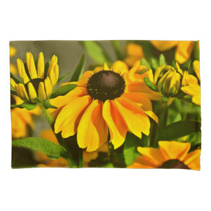 Susan Rudbeckias, Ouro preto, radiante