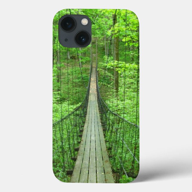 Suspension Bridge (Verso)