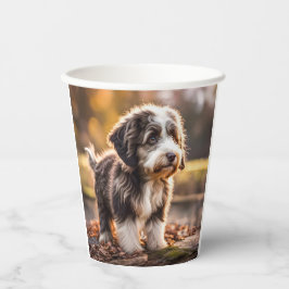 Süßer Aussiedoodle Welpe