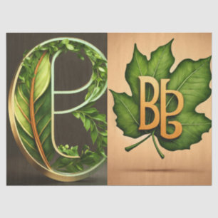 "Sussuro Suave: A Legância do Papel Tecido"