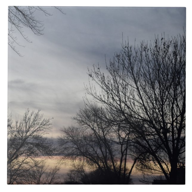 Sussurros de Inverno  (Frente)