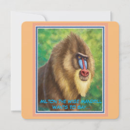 Sussurros Selvagens De Cartão Simples Série De Inc