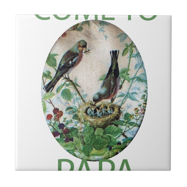 Sustentando o Bando: Capturando o Nurturando o Par (Frente)