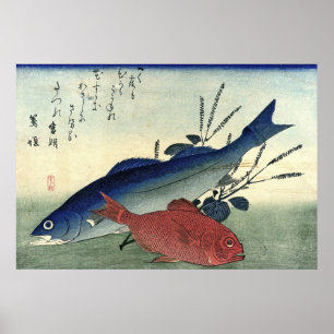 Suzuki & Kimmedai: Impressão japonês dos peixes