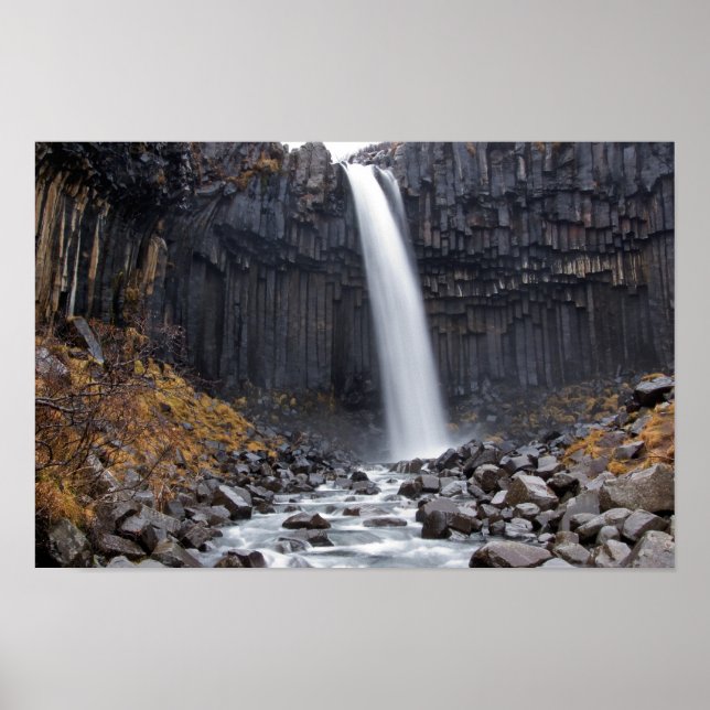 Svartifoss waterfall in Iceland poster (Frente)