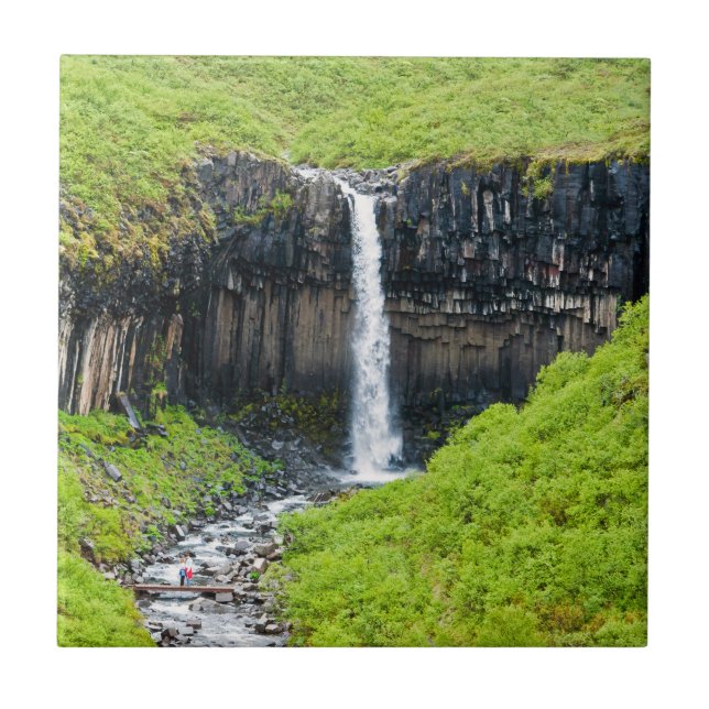 Svartifoss Waterfall - Skaftafall - Islândia (Frente)
