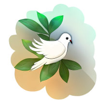 Beautiful White Dove