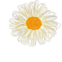 Minimalist Watercolol Chamomiles 