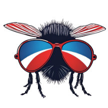 It's the 4th of July Stay Fly 