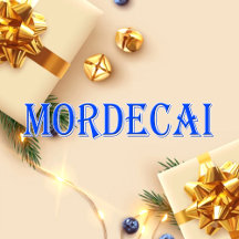 Mordecai_Name T-Shirt
