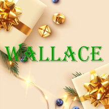Wallace Name T-Shirt