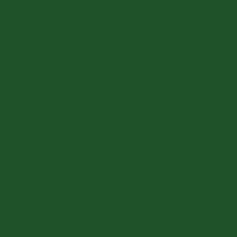 Traditional Christmas Colors - Dark Green