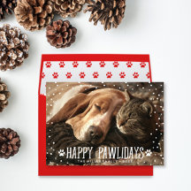Happy Pawlidays   Holiday Collection