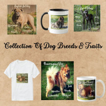 COLLECTION  OF DOGS BREEDS & TRAITS