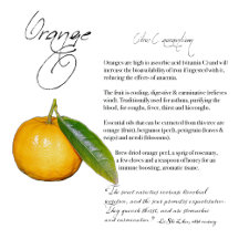 The Orange Fruit